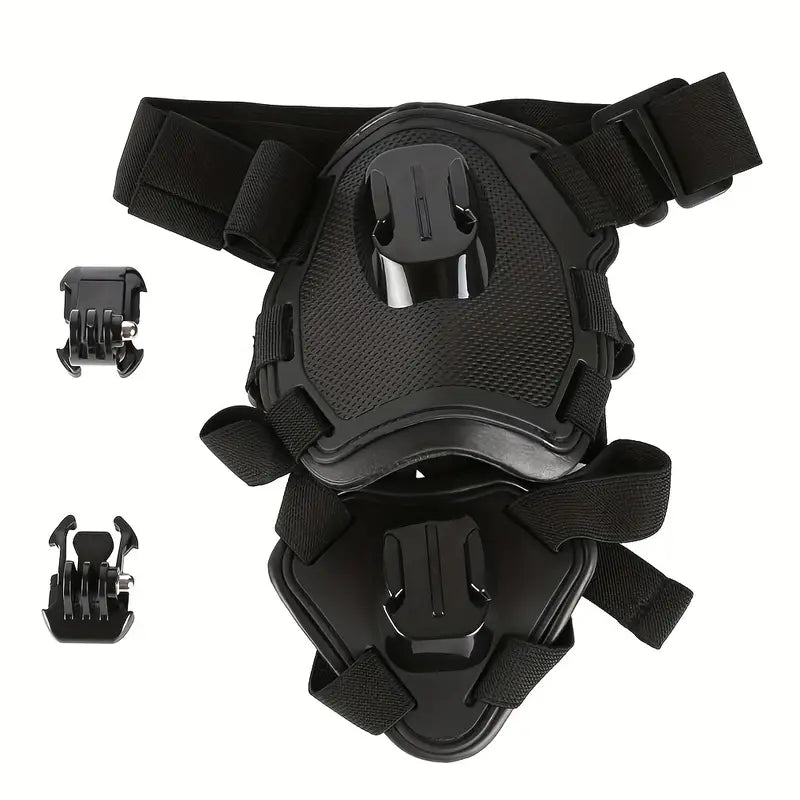 PAXX Action Harness