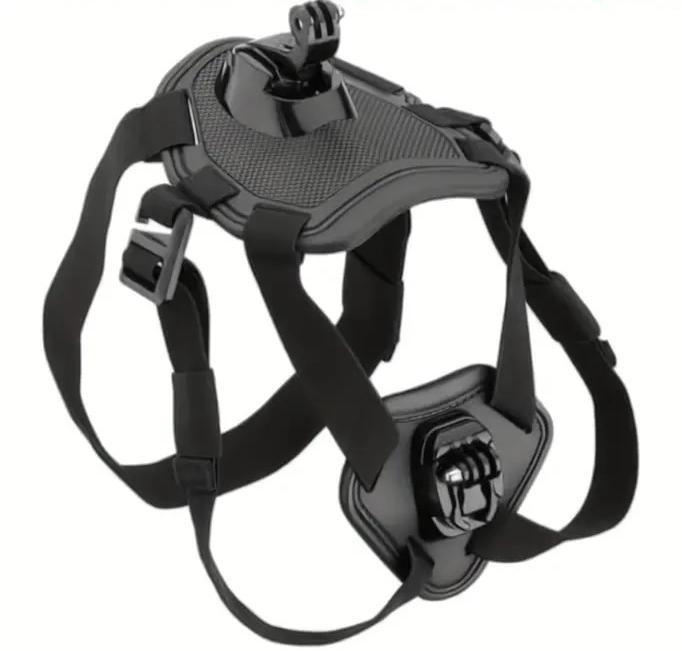 PAXX Action Harness