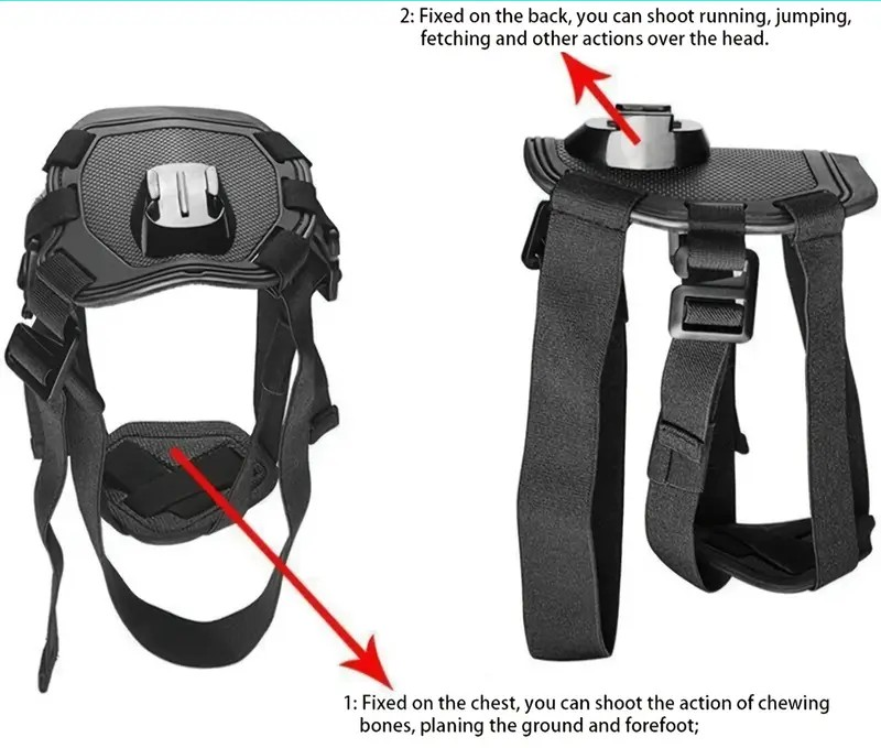 PAXX Action Harness