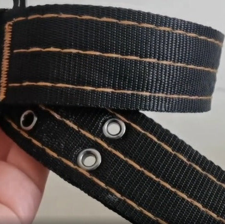 PAXX Sporting Collar