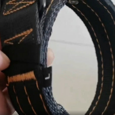 PAXX Sporting Collar