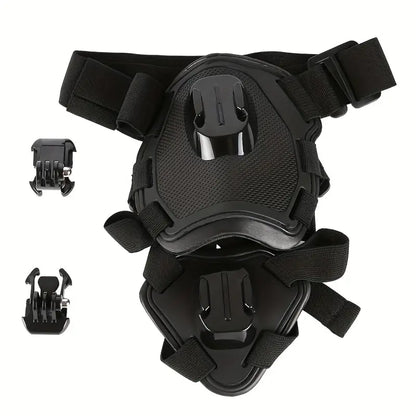 PAXX Action Harness