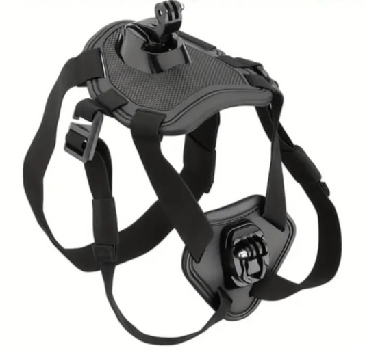 PAXX Action Harness