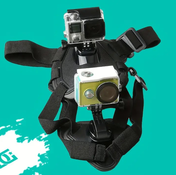 PAXX Action Harness