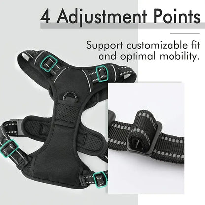 PAXX Active Dog Harness