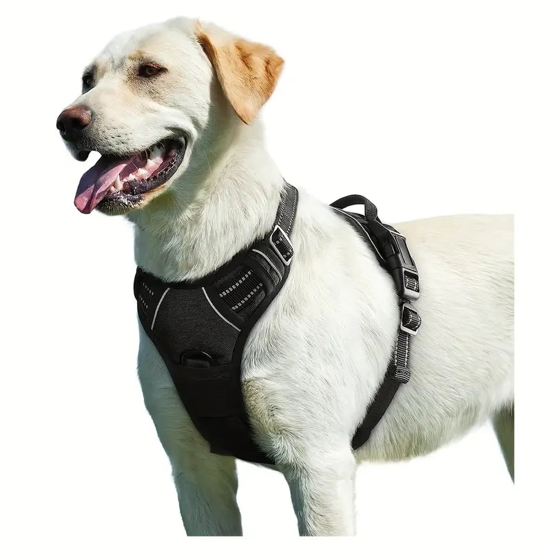 PAXX Active Dog Harness