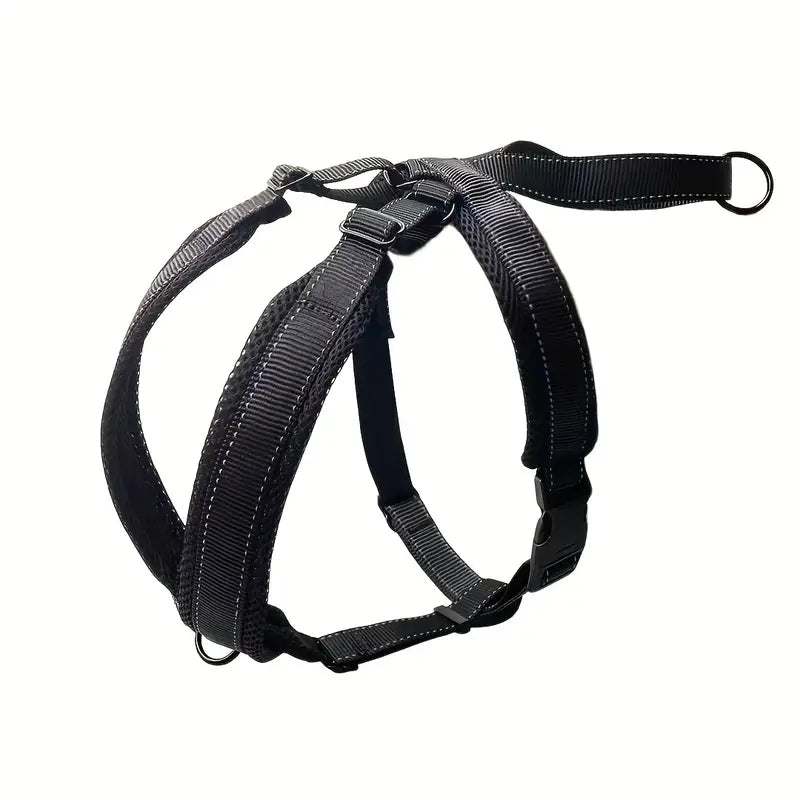 PAXX Basic Harness