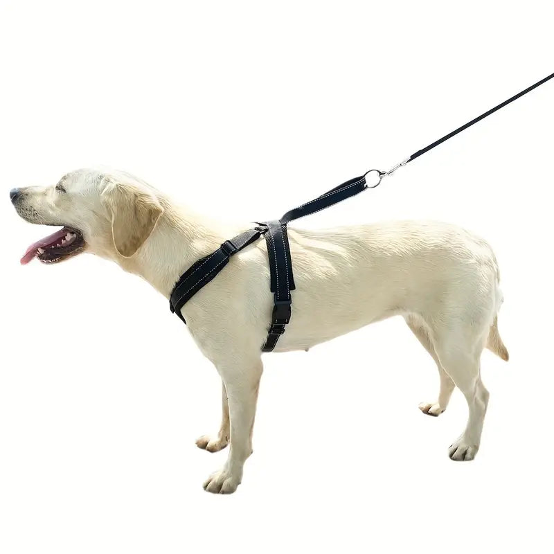 PAXX Basic Harness