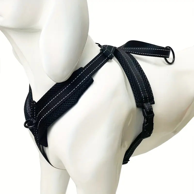 PAXX Basic Harness