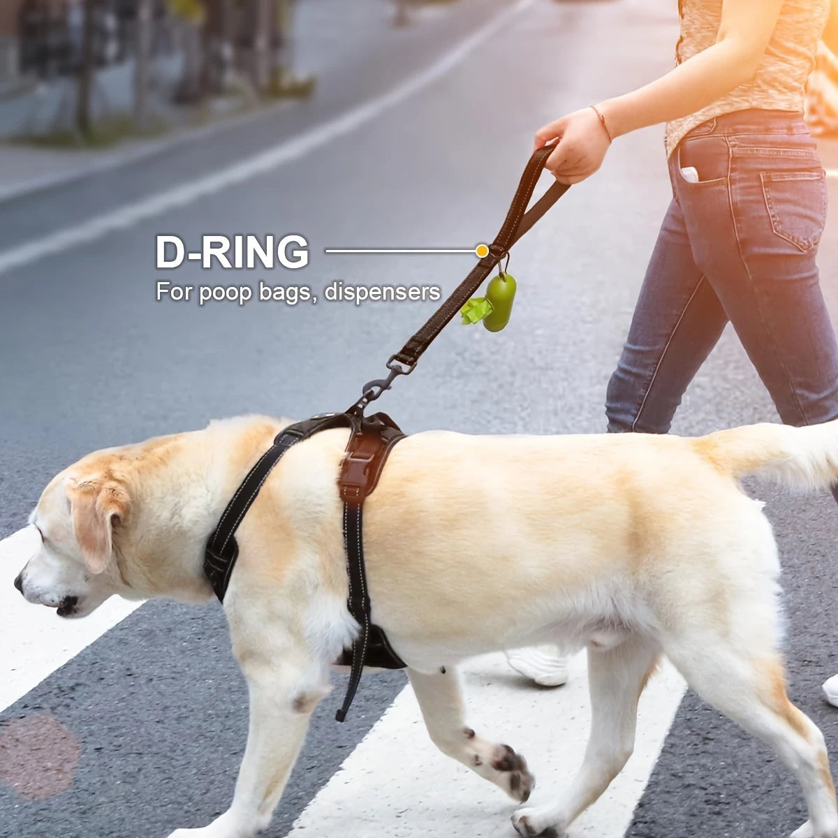PAXX Reflective Dog Lead 30cm