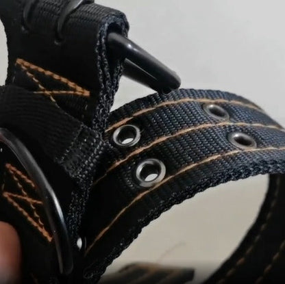 PAXX Sporting Collar