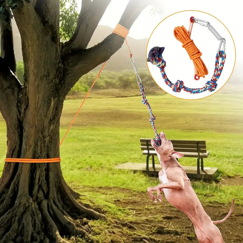 PAXX Spring Rope Tug