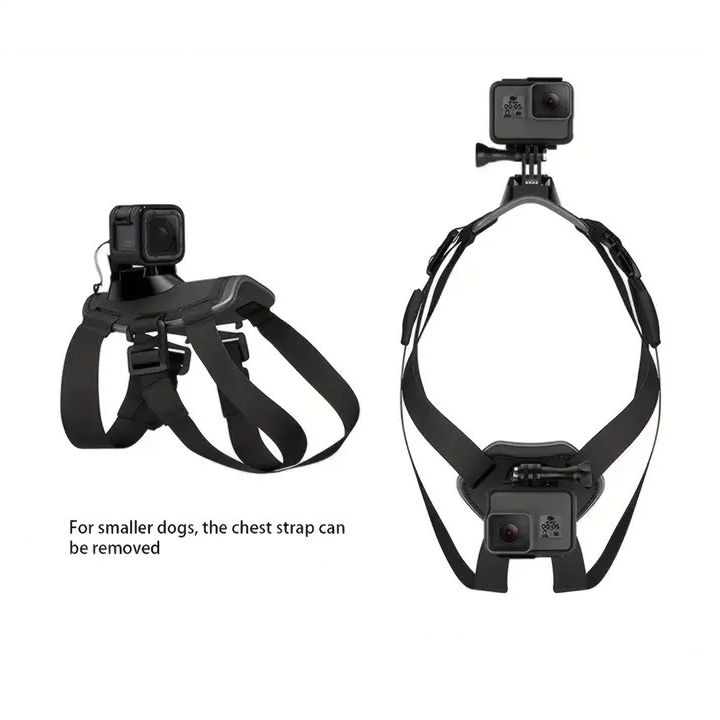 PAXX Action Harness