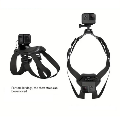 PAXX Action Harness
