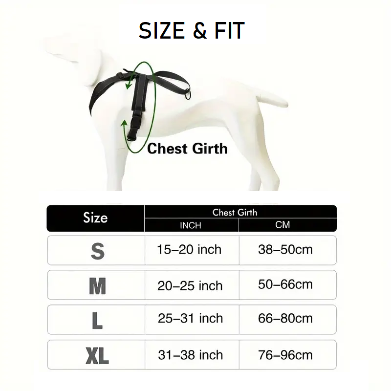 PAXX Basic Harness