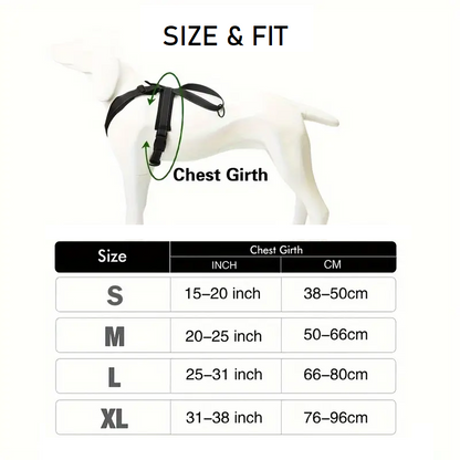 PAXX Basic Harness