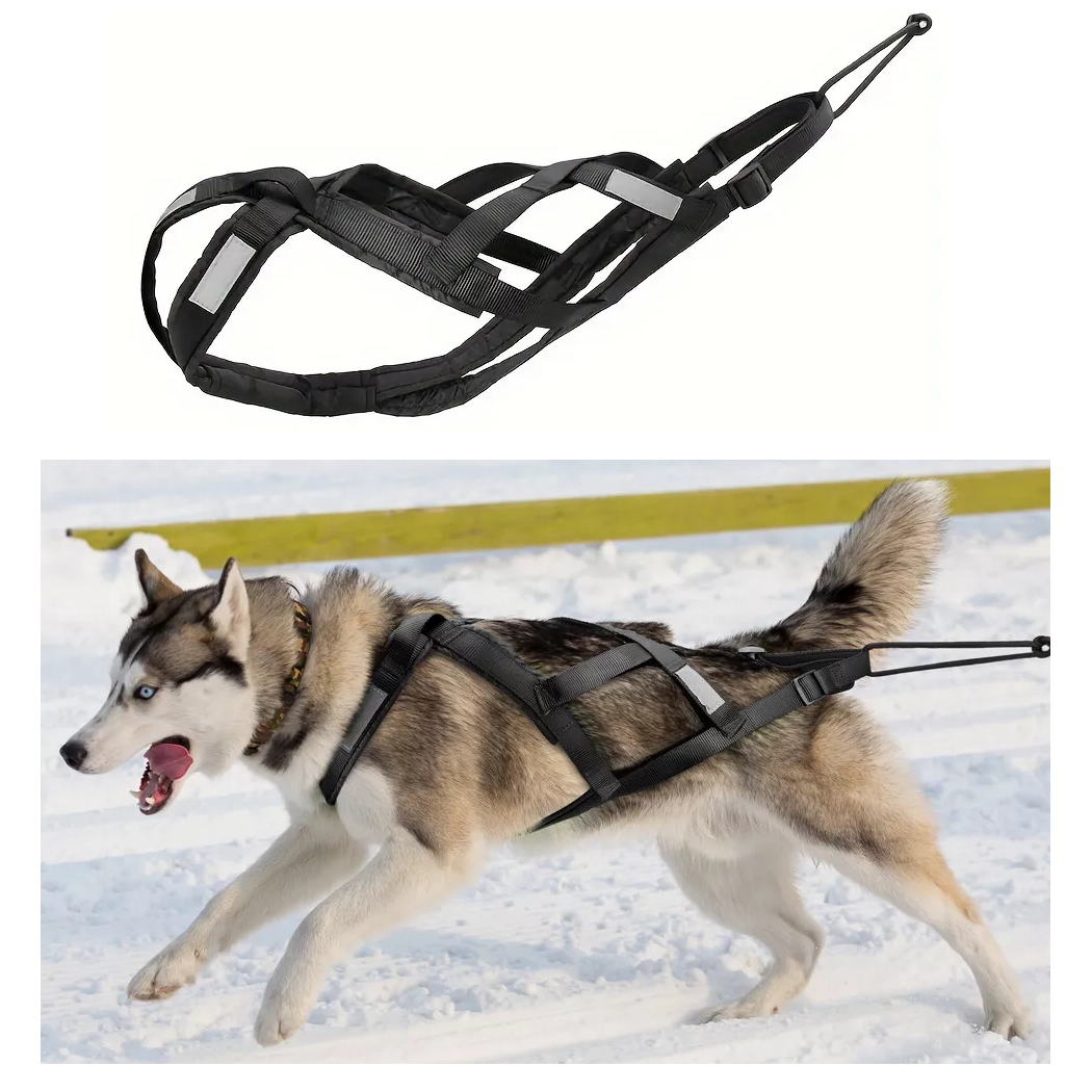 PAXX Dog X-Pull Harness